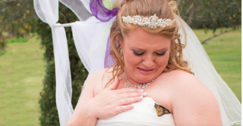 Screen-Shot-2015-12-21-at-2.33.14-PM