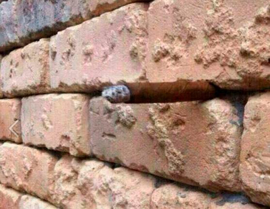 brick wall