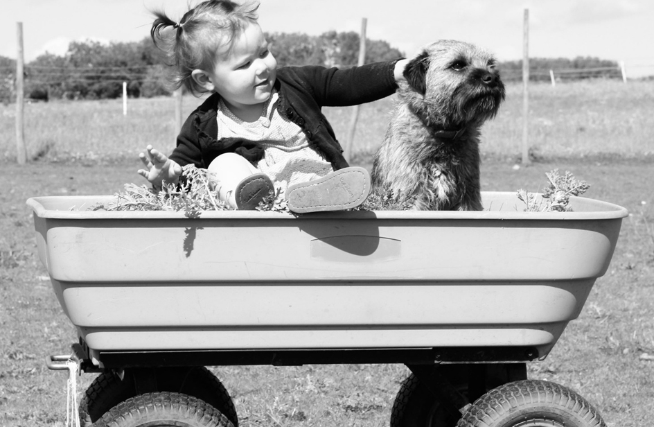 Cani, gatti & bambini