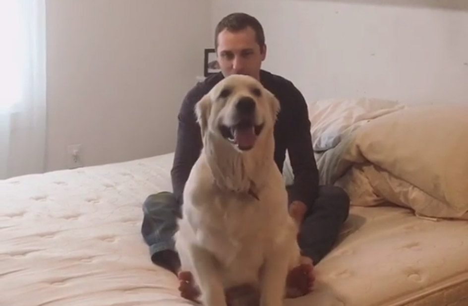 gioco_della_fiducia_con_cane_viral_news_rds