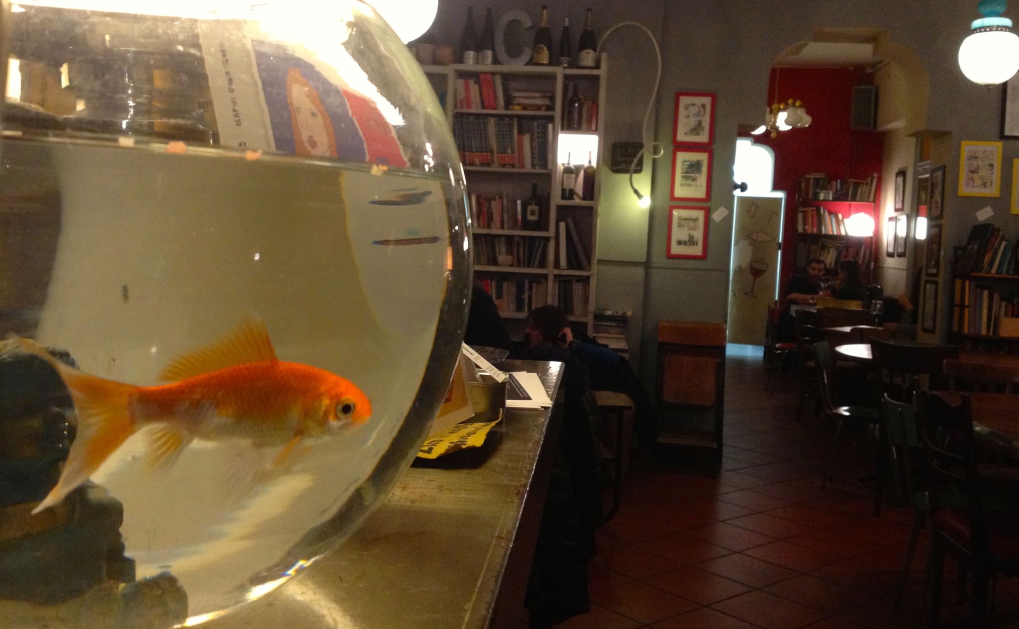 pesce_rosso