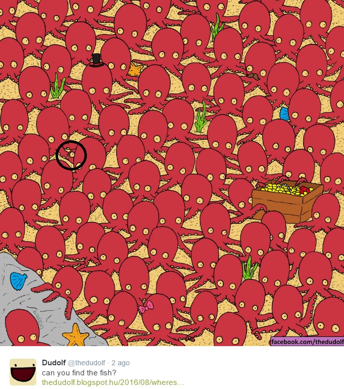 dove si nasconde il pesce