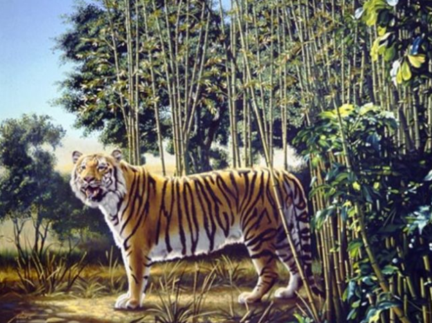 seconda_tigre_nascosta