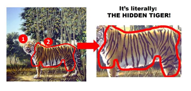 the_hidden_tiger