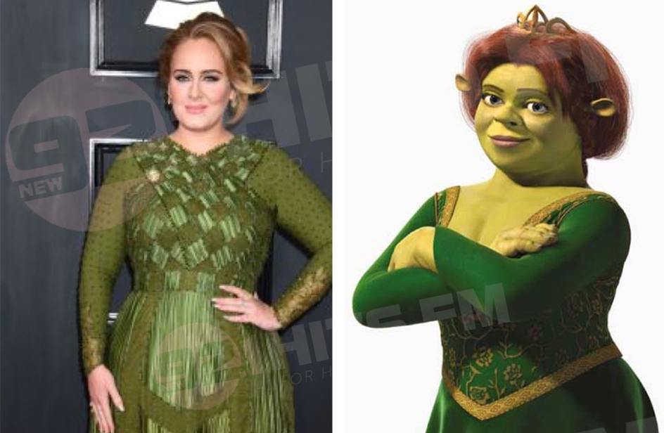 Come Si Chiama La Moglie Di Shrek