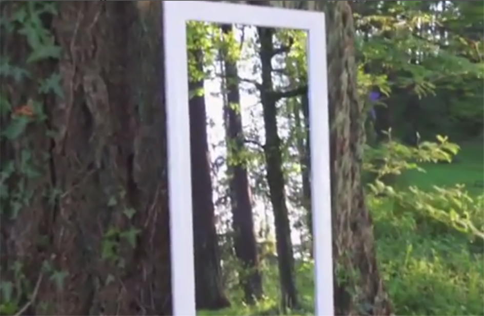 Attraversa lo specchio nel bosco, l'illusione ha una spiegazione